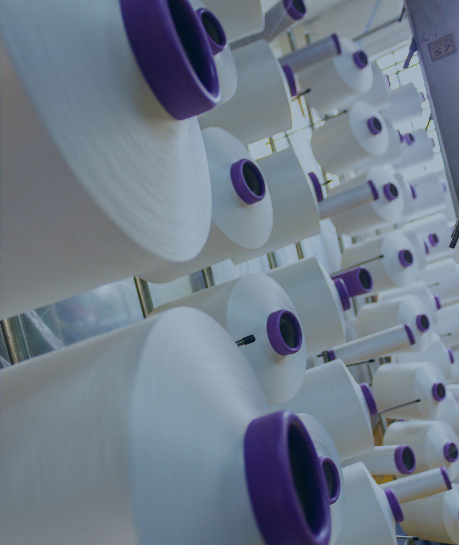 Historia de Manotex: primeros años en la industria textil